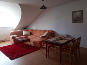 Apartmán J+P České Velenice